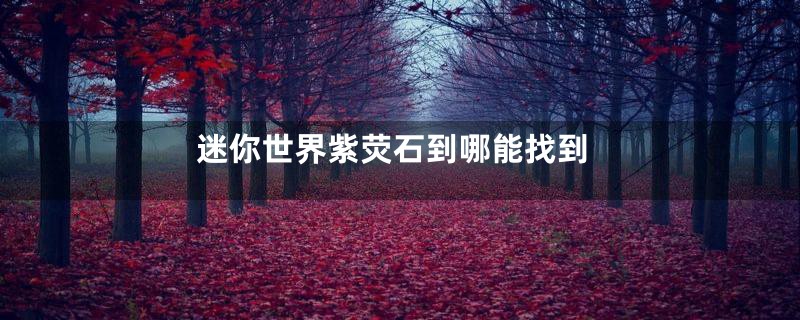 迷你世界紫荧石到哪能找到