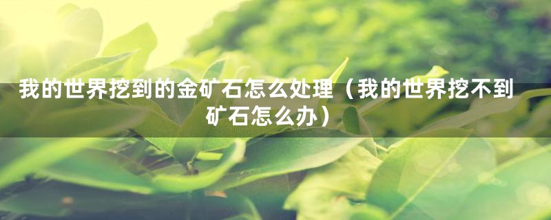 我的世界挖到的金矿石怎么处理(我的世界挖不到矿石怎么办)