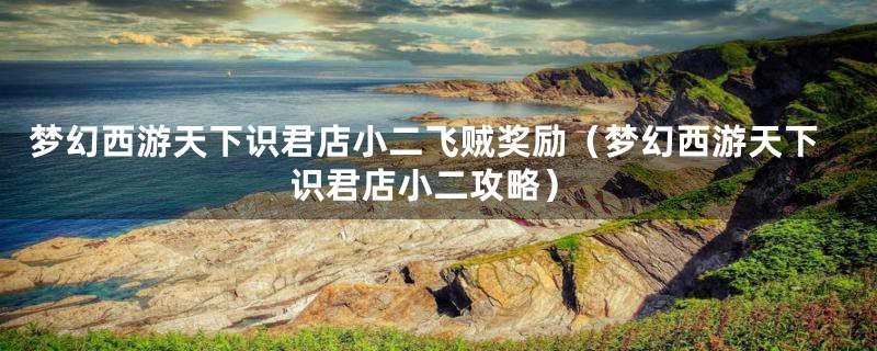 梦幻西游天下识君店小二飞贼奖励（梦幻西游天下识君店小二攻略）