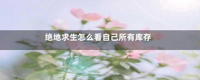绝地求生怎么看自己所有库存