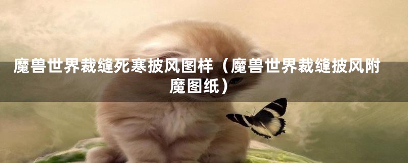 魔兽世界裁缝死寒披风图样（魔兽世界裁缝披风附魔图纸）
