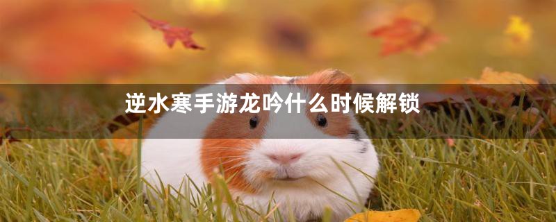 逆水寒手游龙吟什么时候解锁