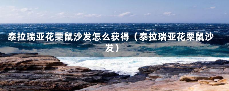 泰拉瑞亚花栗鼠沙发怎么获得(泰拉瑞亚花栗鼠沙发)