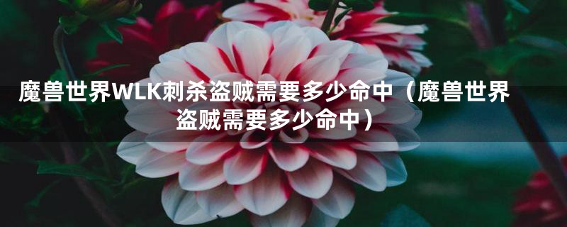魔兽世界WLK刺杀盗贼需要多少命中（魔兽世界盗贼需要多少命中）