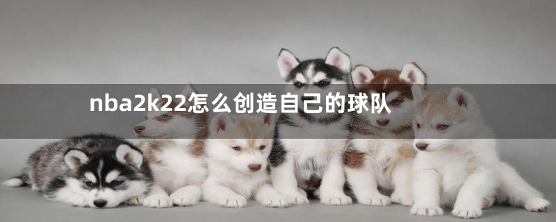 nba2k22怎么创造自己的球队