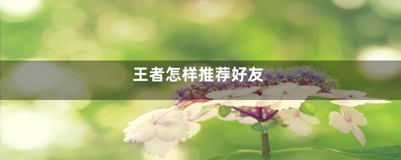 王者怎样推荐好友