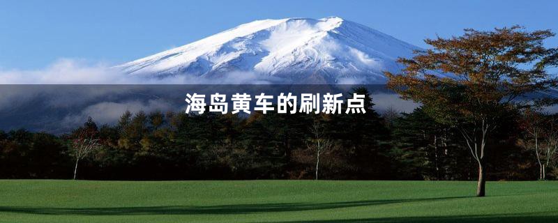 海岛黄车的刷新点