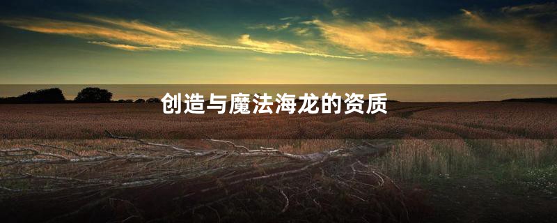 创造与魔法海龙的资质