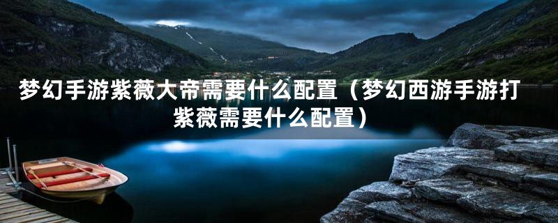 梦幻手游紫薇大帝需要什么配置（梦幻西游手游打紫薇需要什么配置）