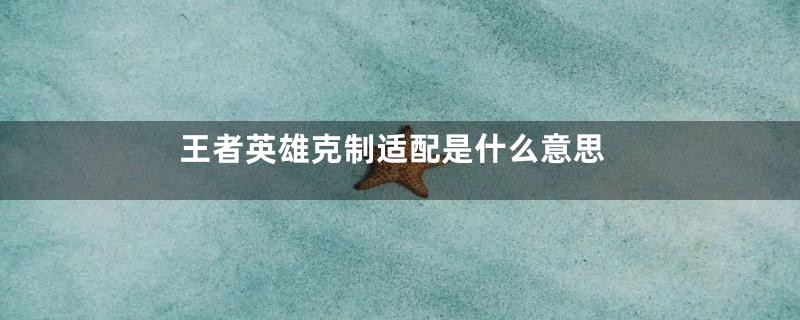 王者英雄克制适配是什么意思