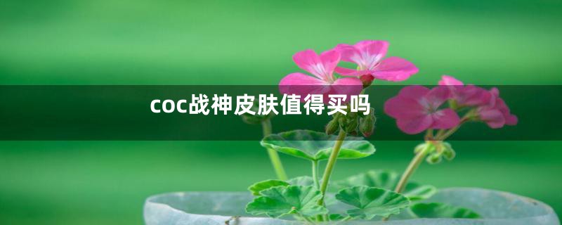 coc战神皮肤值得买吗