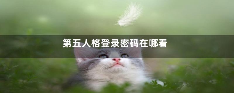 第五人格登录密码在哪看