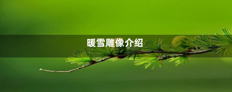 暖雪雕像介绍