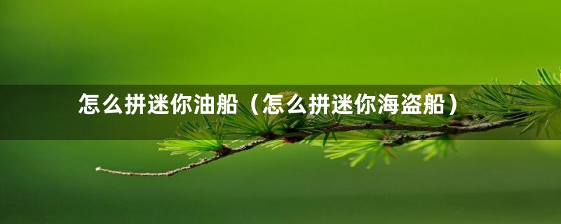 怎么拼迷你油船(怎么拼迷你海盗船)