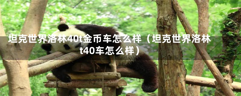 坦克世界洛林40t金币车怎么样（坦克世界洛林t40车怎么样）