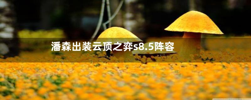 潘森出装云顶之弈s8.5阵容