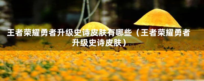 王者荣耀勇者升级史诗皮肤有哪些（王者荣耀勇者升级史诗皮肤）