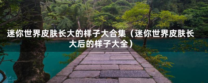 迷你世界皮肤长大的样子大合集（迷你世界皮肤长大后的样子大全）