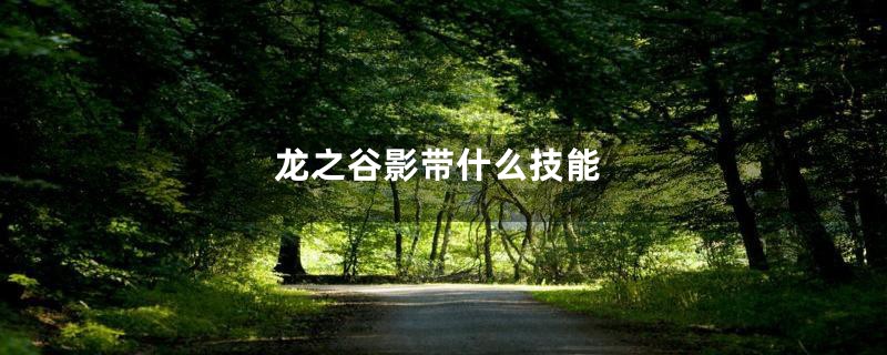 龙之谷影带什么技能