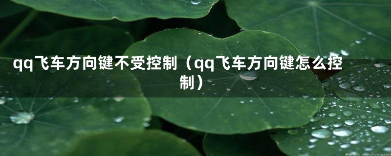 qq飞车方向键不受控制（qq飞车方向键怎么控制）