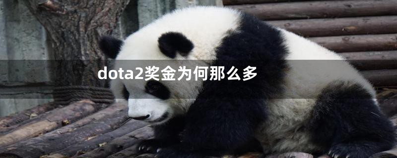 dota2奖金为何那么多