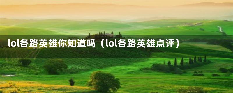 lol各路英雄你知道吗(lol各路英雄点评)