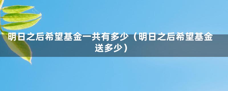 明日之后希望基金一共有多少(明日之后希望基金送多少)