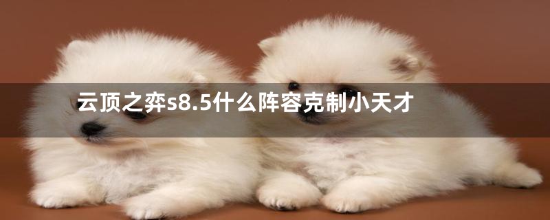 云顶之弈s8.5什么阵容克制小天才