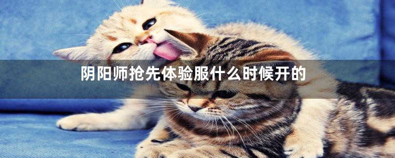 阴阳师抢先体验服什么时候开的