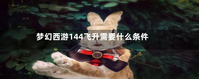 梦幻西游144飞升需要什么条件