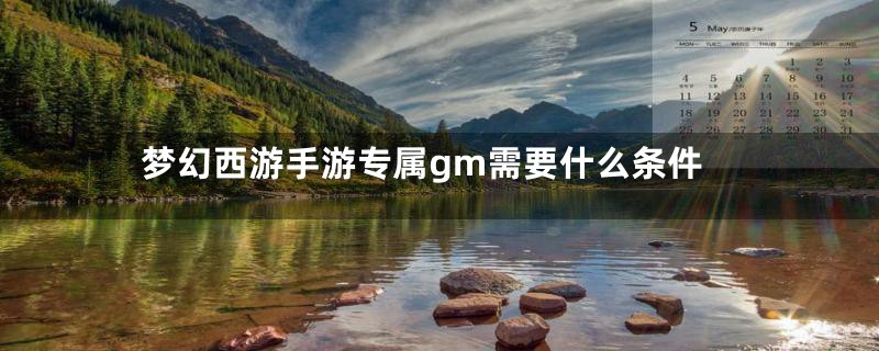 梦幻西游手游专属gm需要什么条件