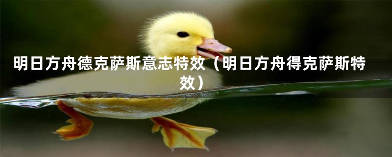 明日方舟德克萨斯意志特效(明日方舟得克萨斯特效)