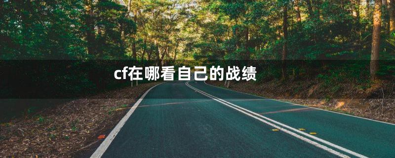 cf在哪看自己的战绩