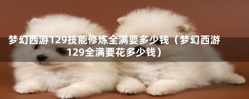 梦幻西游129技能修炼全满要多少钱(梦幻西游129全满要花多少钱)