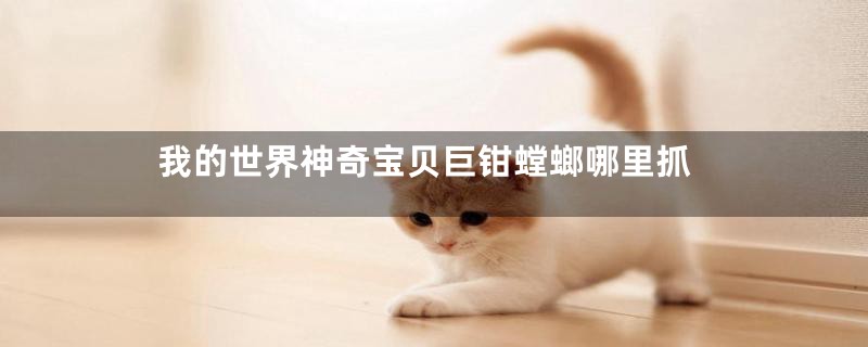 我的世界神奇宝贝巨钳螳螂哪里抓