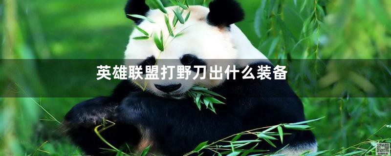 英雄联盟打野刀出什么装备