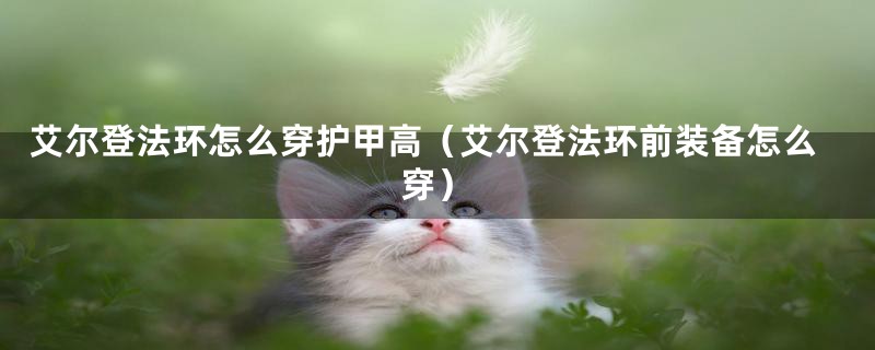 艾尔登法环怎么穿护甲高（艾尔登法环前装备怎么穿）