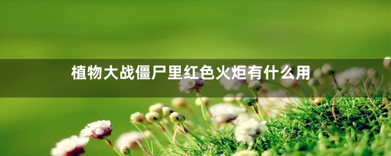 植物大战僵尸里红色火炬有什么用