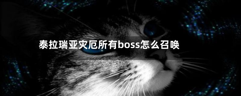 泰拉瑞亚灾厄所有boss怎么召唤