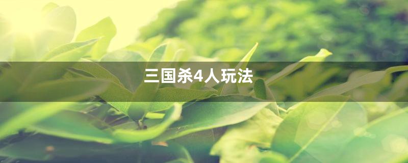 三国杀4人玩法