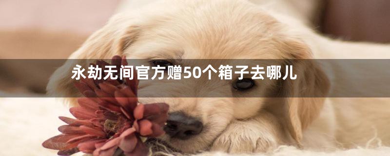 永劫无间官方赠50个箱子去哪儿