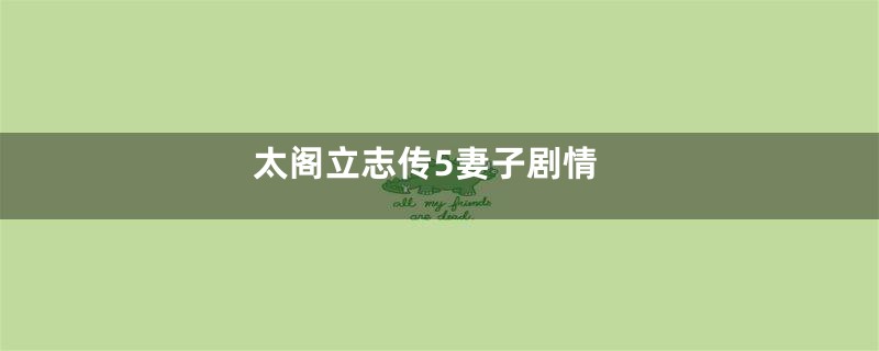 太阁立志传5妻子剧情