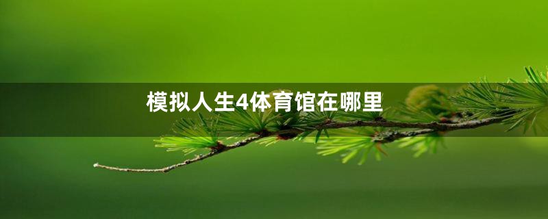 模拟人生4体育馆在哪里