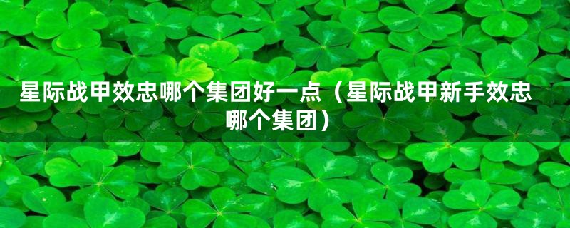 星际战甲效忠哪个集团好一点（星际战甲新手效忠哪个集团）
