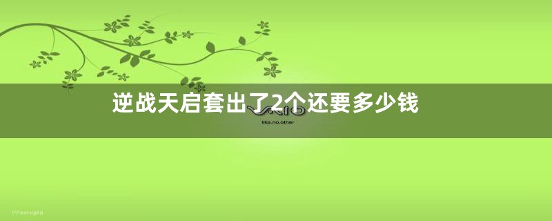 逆战天启套出了2个还要多少钱