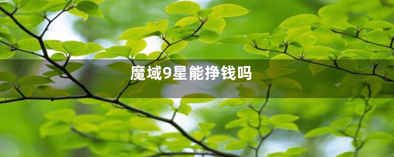 魔域9星能挣钱吗