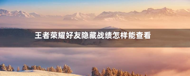 王者荣耀好友隐藏战绩怎样能查看