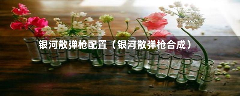 银河散弹枪配置(银河散弹枪合成)