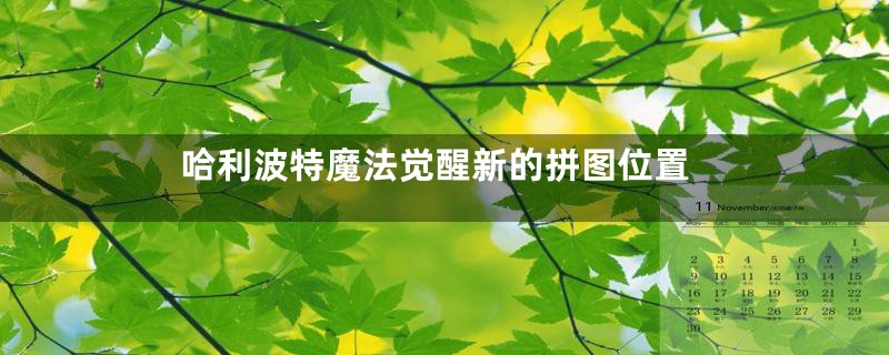 哈利波特魔法觉醒新的拼图位置