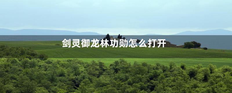 剑灵御龙林功勋怎么打开